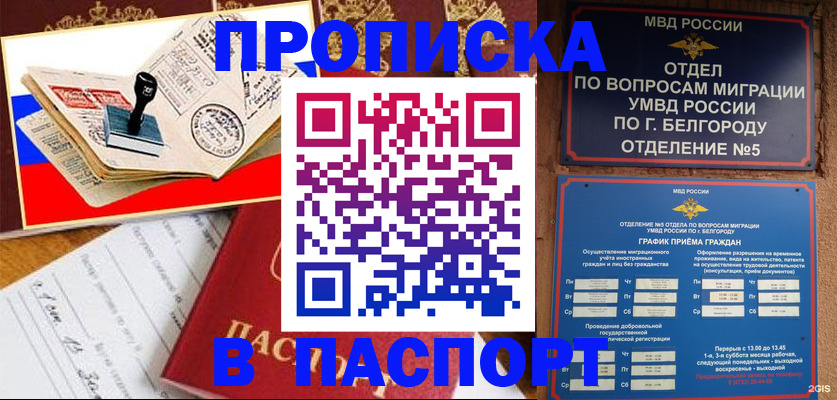 купить прописку в Фокино
